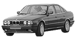 BMW E34 P2587 Fault Code